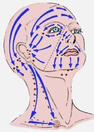face-massage-and-lymphatic-drainage.jpg